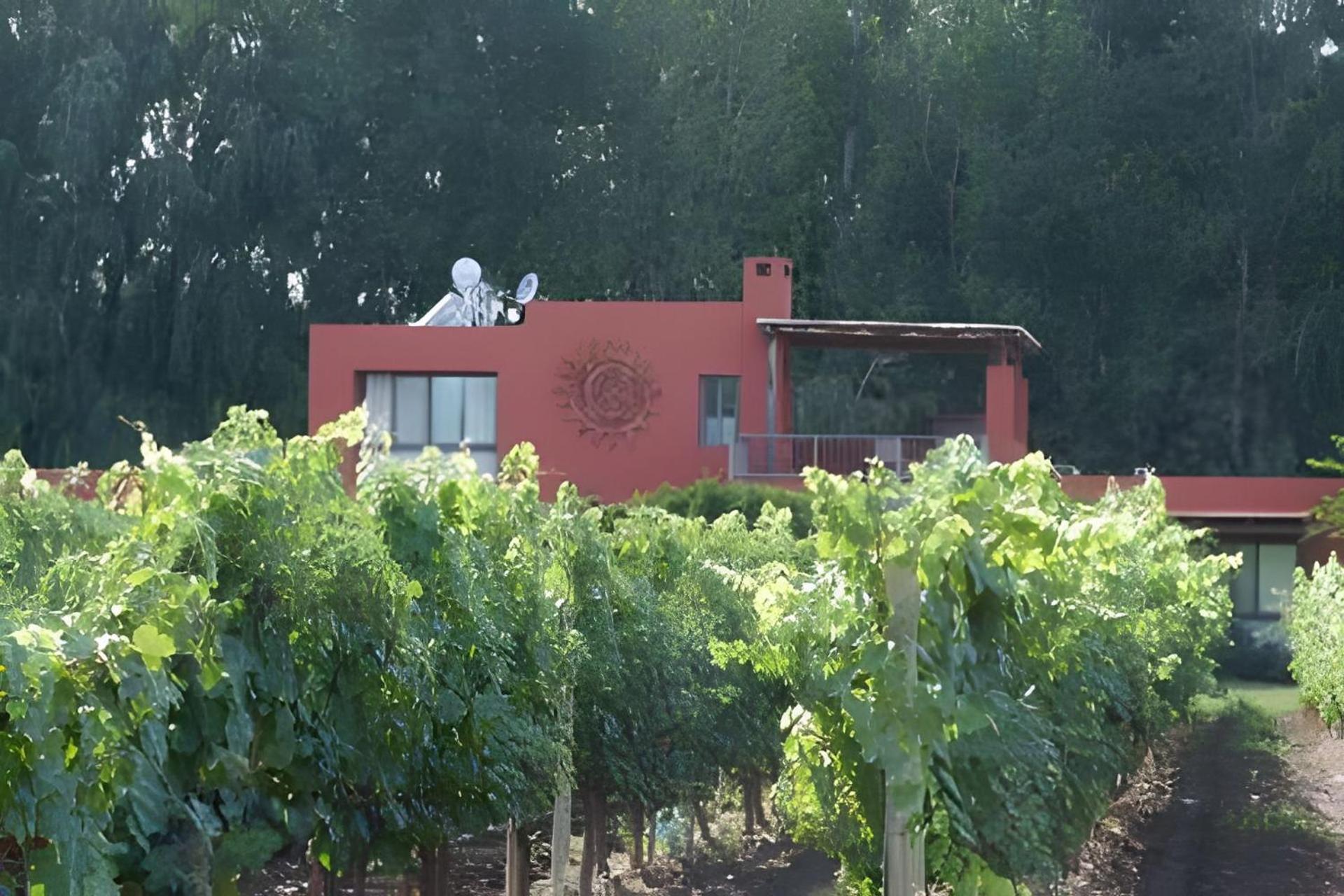 Finca Ogawa Los Sauces  Екстериор снимка
