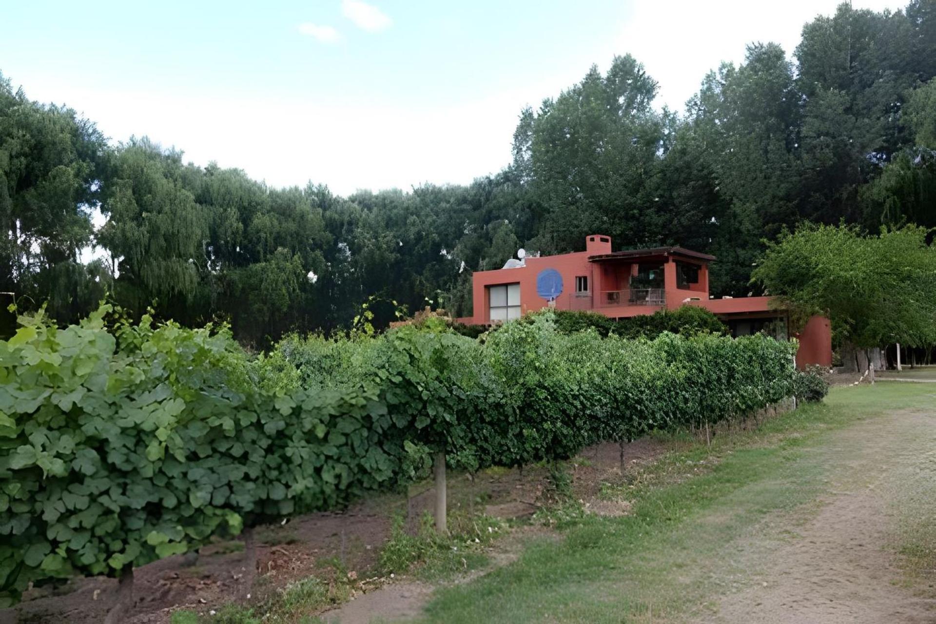 Finca Ogawa Los Sauces  Екстериор снимка